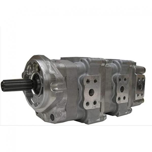 DSHG Hydraulic Solenoid Directional Valve #1 image