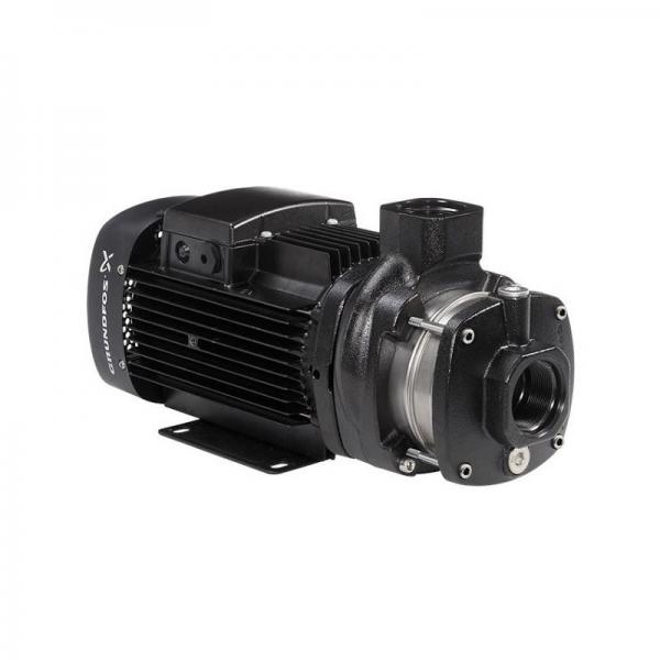 Replace Parker Denison PAVC100 Medium Pressure Variable Volume Piston Pump #1 image