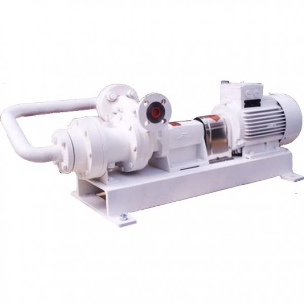 DAIKIN VZ63C12RHX-10 VZ63 Series Piston Pump #2 image